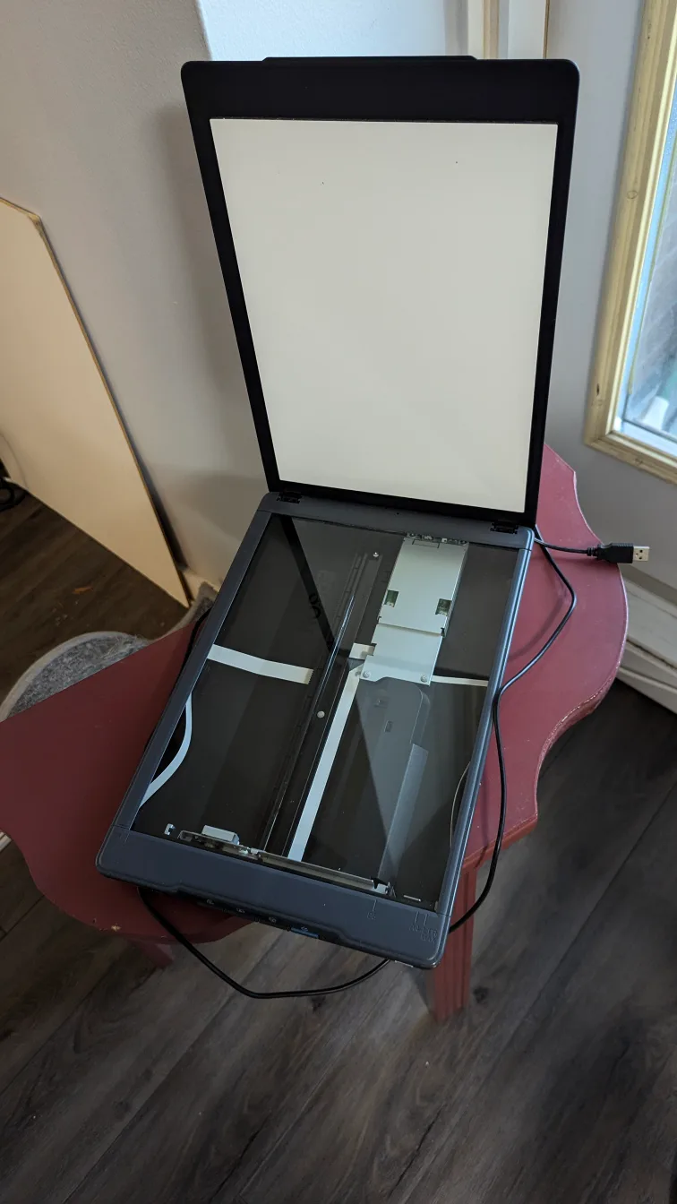 EPSON V39 Scanner image indicator(2)