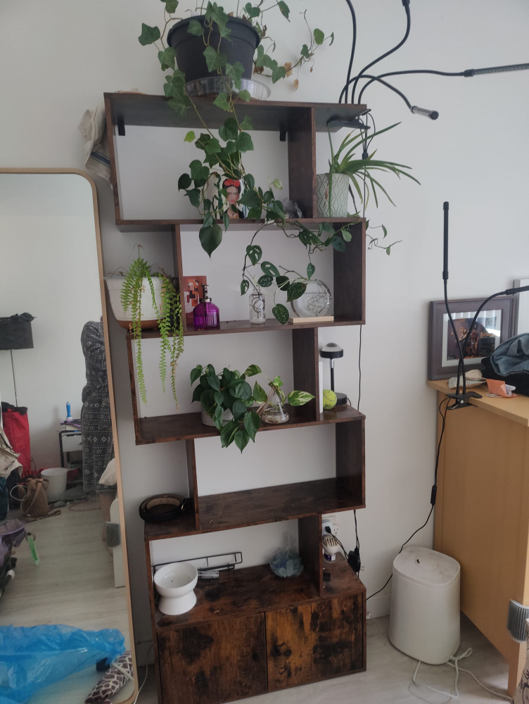 Tall Wooden Bookshelf