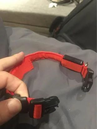 Red LED Dog Collar Small dog light up collar image indicator(4)