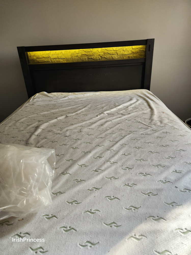 Black Bed Frame with Light