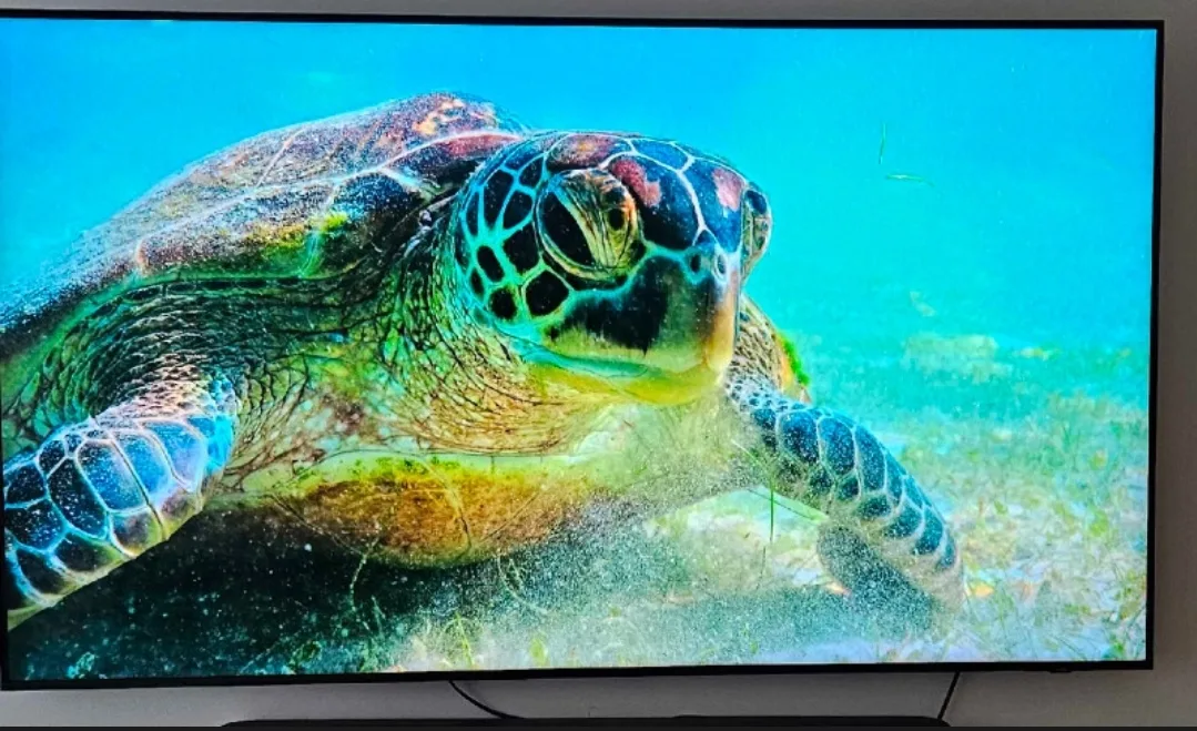 Samsung Q70C 65" TV - Only Had Since January & Under Warranty image indicator(6)