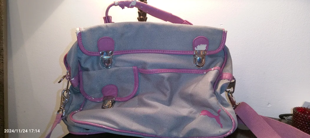 #freecycle-Puma Pink and Grey Travel Bag thumbnail