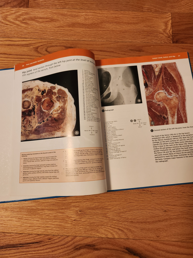 McMinn's Color Atlas of Foot & Ankle Anatomy, 4th Edition - photo 2