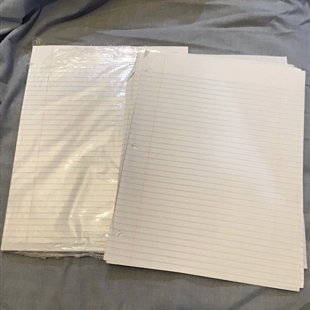 Lined Paper - photo 3