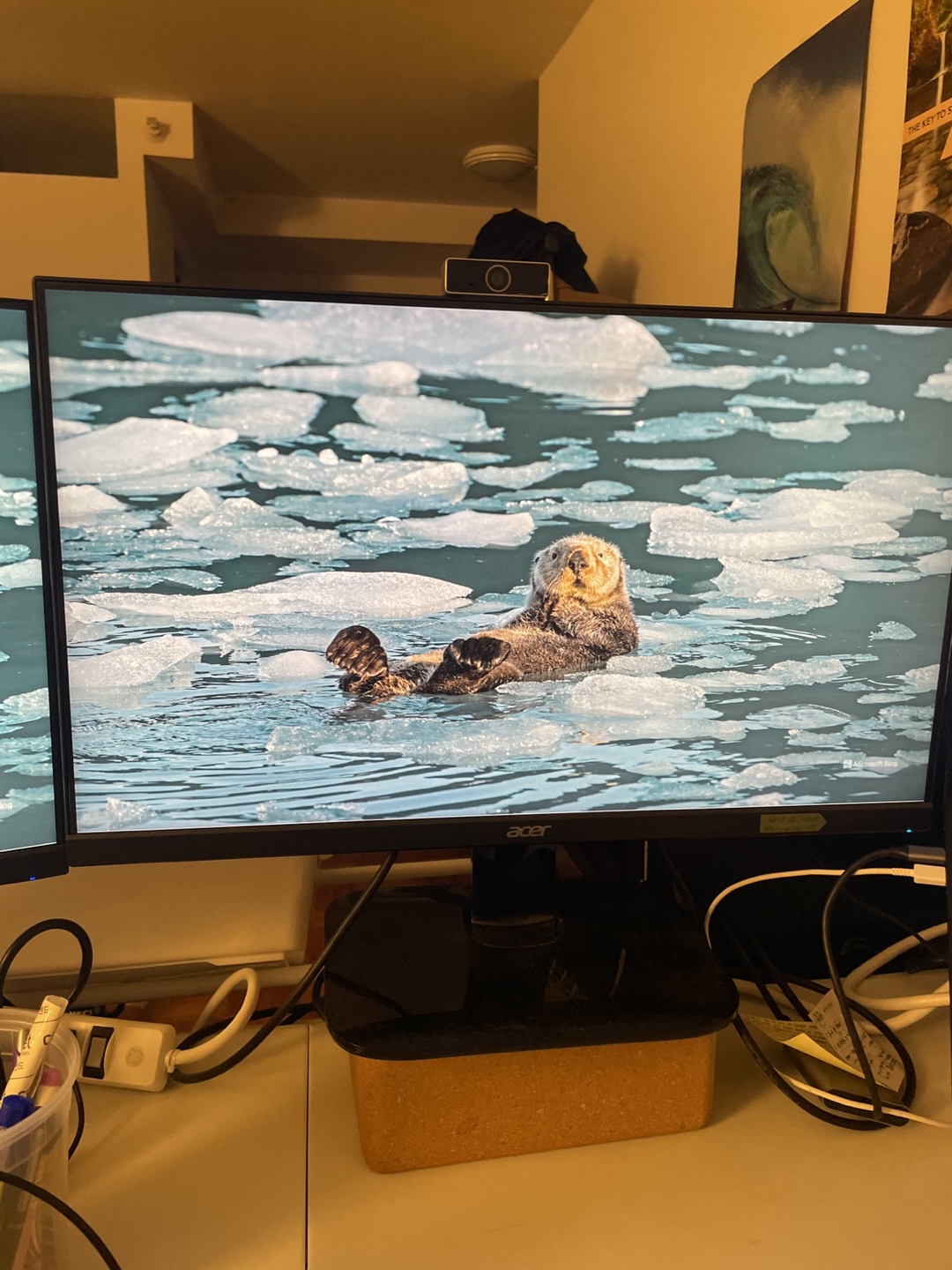 Acer 23.8 inch Monitor
