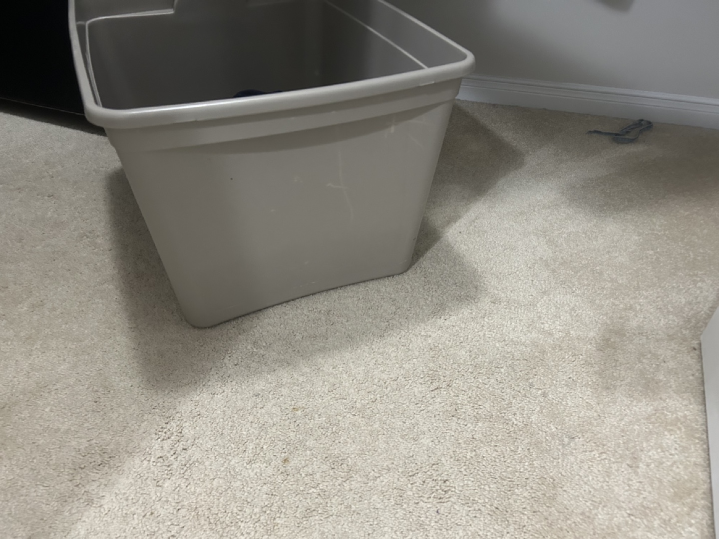 Storage Bin - photo 3