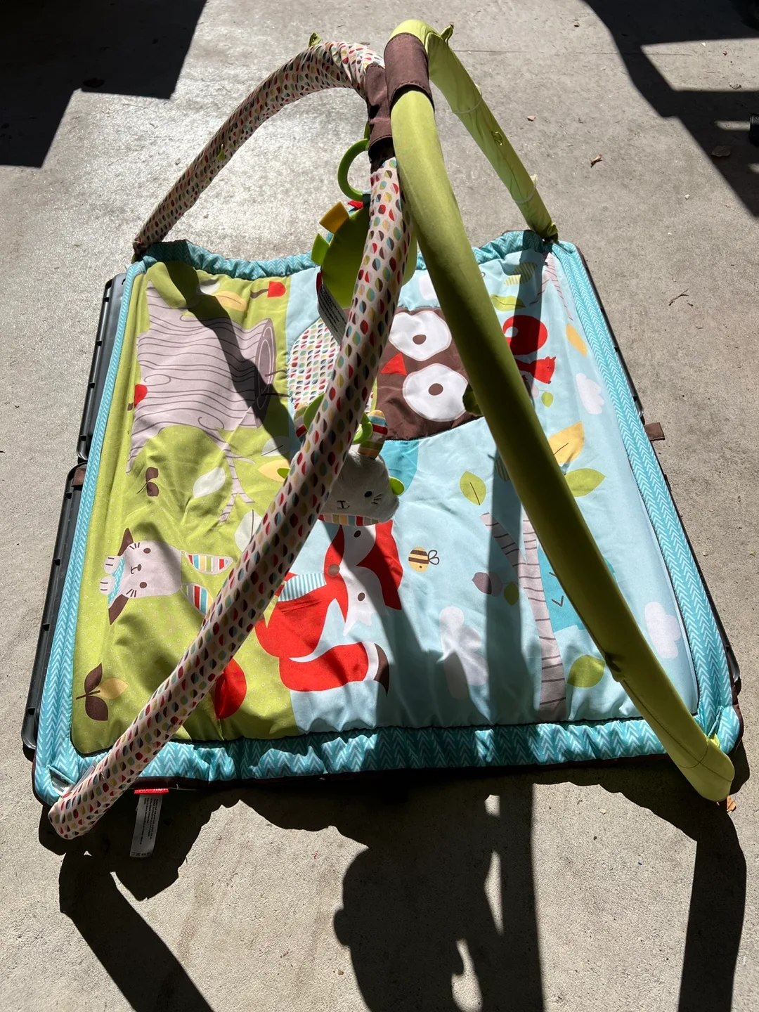 Baby Playmat with Arch image indicator(2)