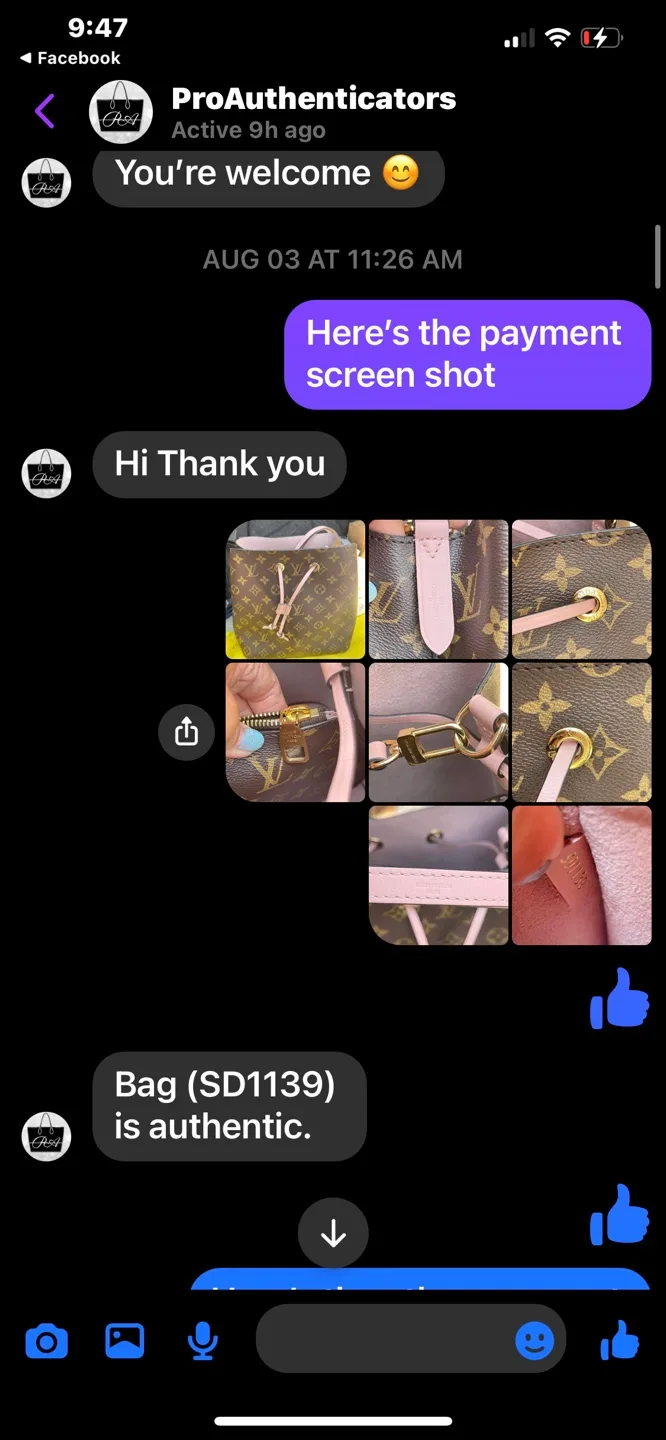 Louis Vuitton Monogram NoeNoe  Bag image indicator(10)