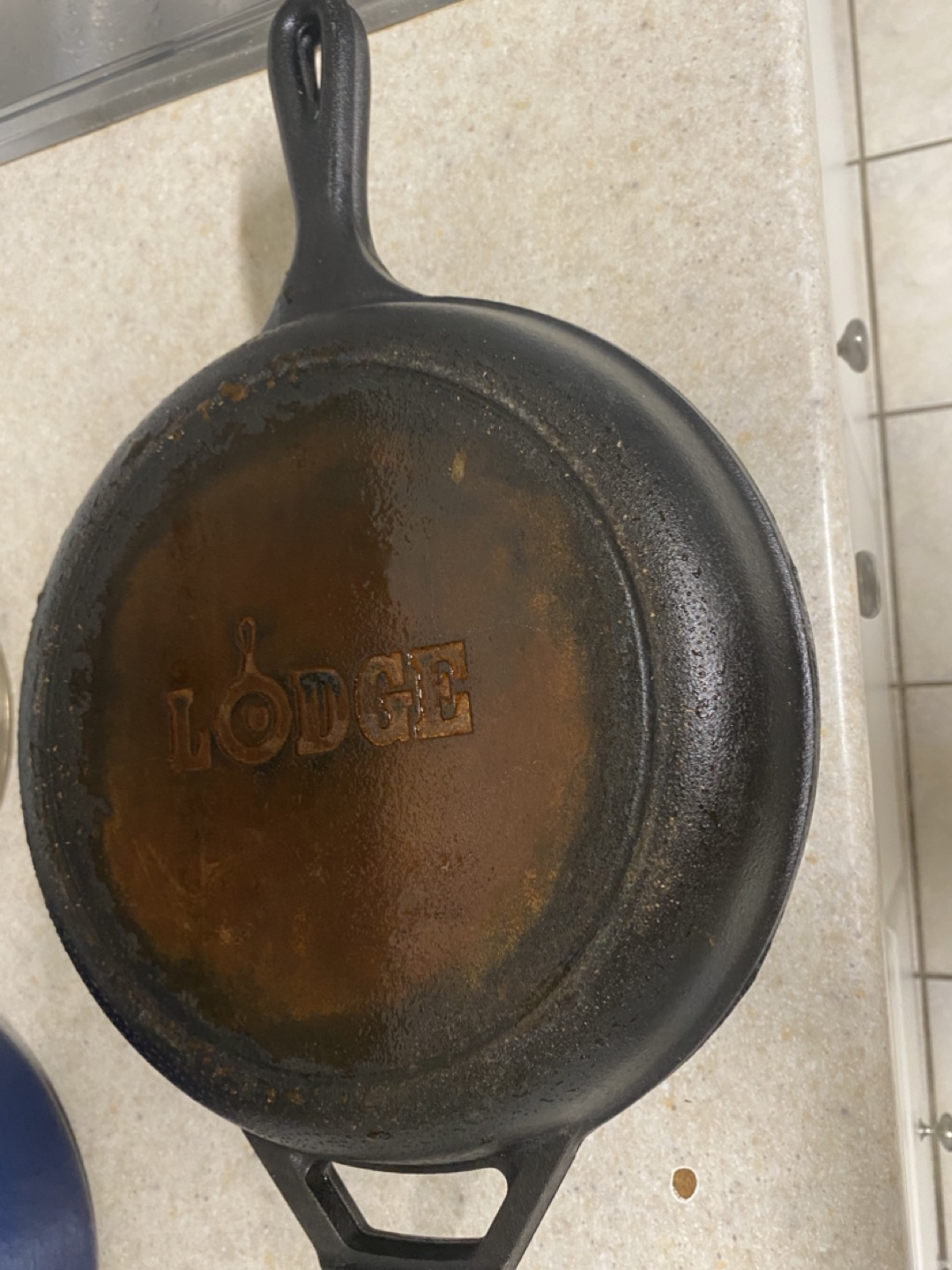 Lodge Cast Iron Skillet