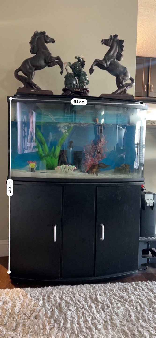 Fish Tank Stand and Tank - photo 3