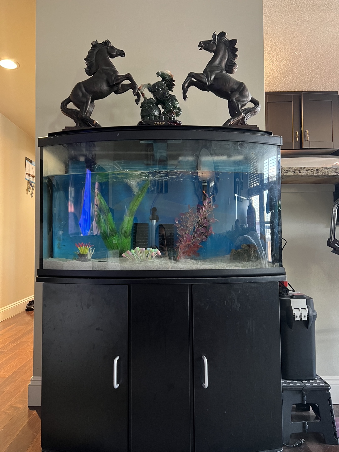 Fish Tank Stand and Tank