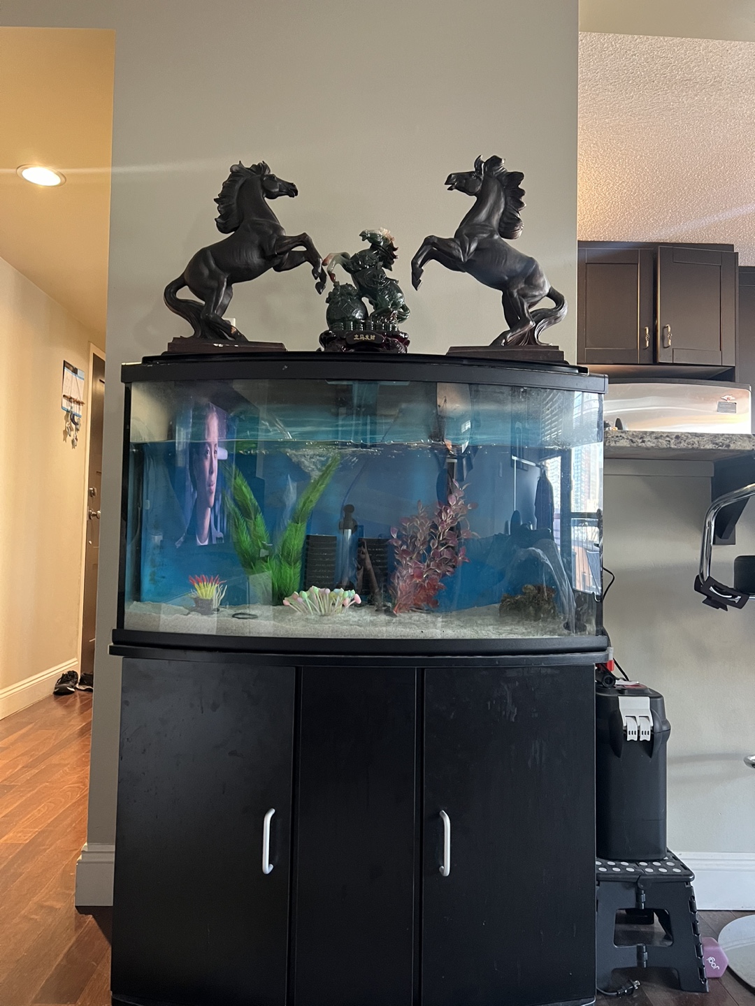Fish Tank Stand and Tank - photo 2