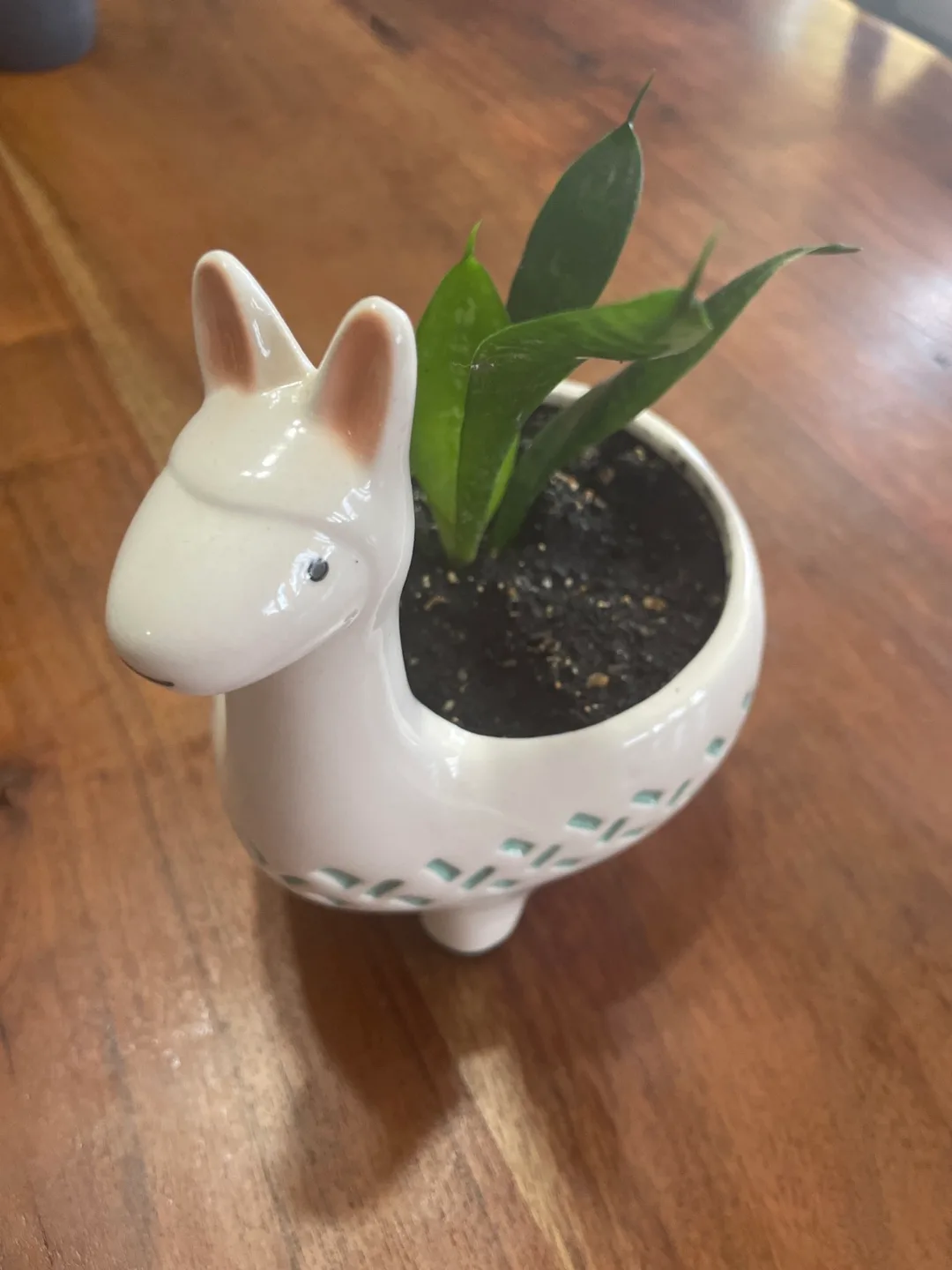 Llama Planter with Plant thumbnail