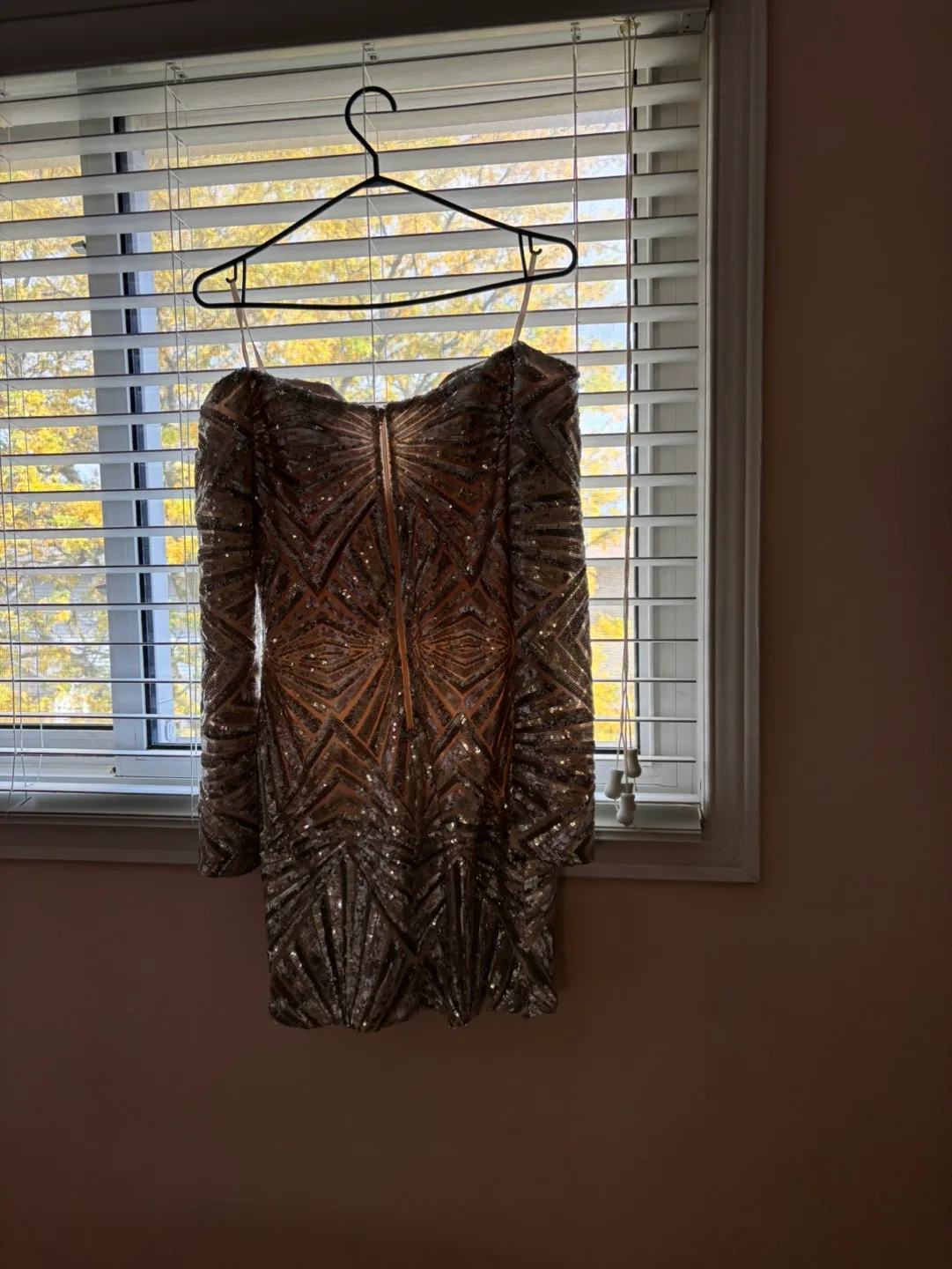 Sequin dress image indicator(3)