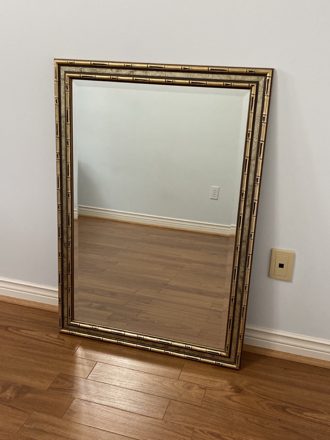 Large Gold Frame Mirror