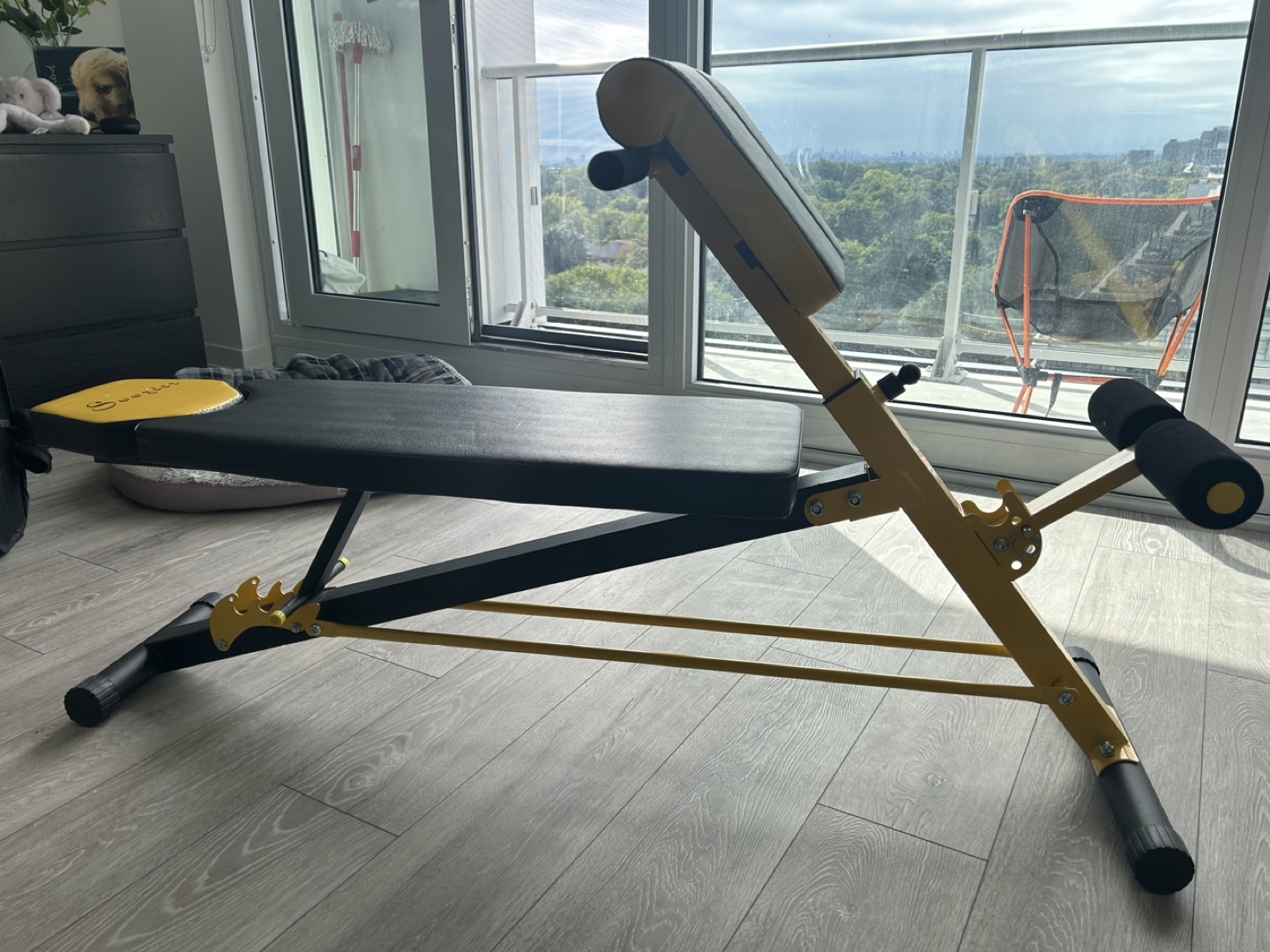 Securitron Incline Decline Sit Up Workout Bench