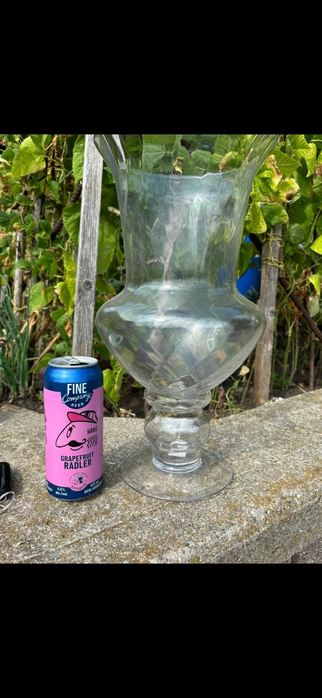 Large Glass Vase image indicator(4)