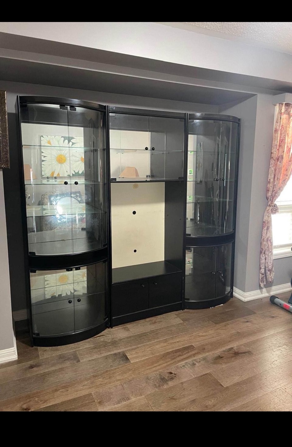 Black Entertainment Unit with Glass Doors