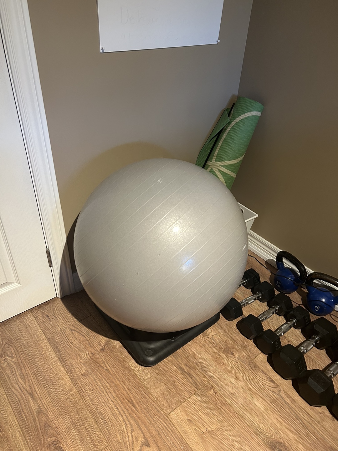 Exercise Ball