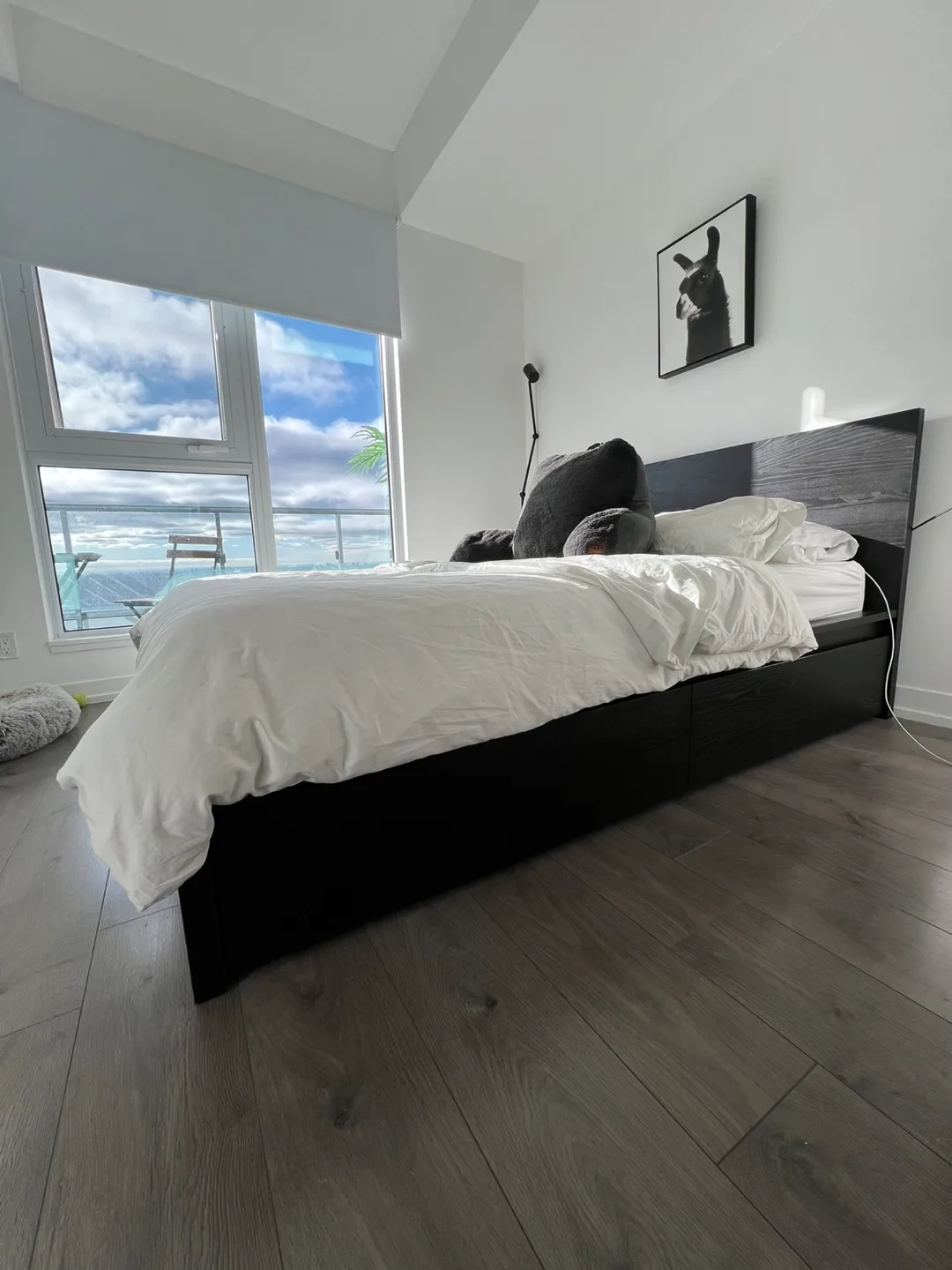 IKEA MALM Queen Bed Frame with Storage Drawers image indicator(9)