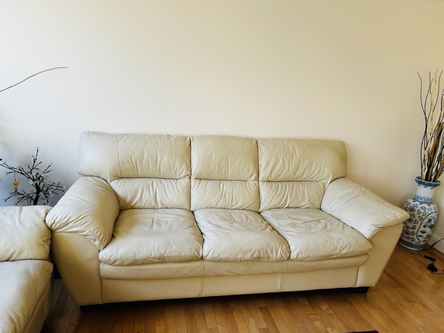 Leather Sofa Set