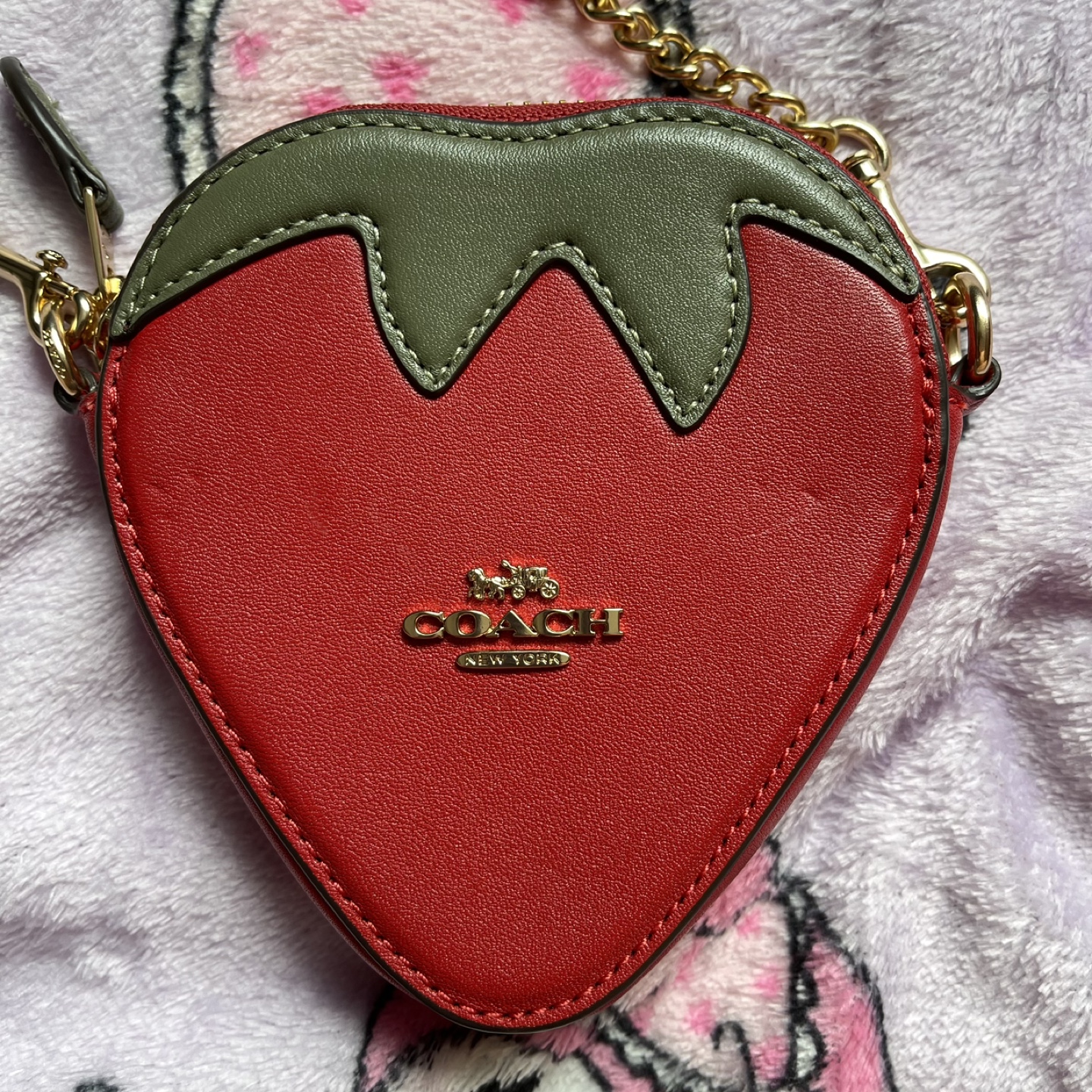 Coach Strawberry Heart Shaped Coin Purse
