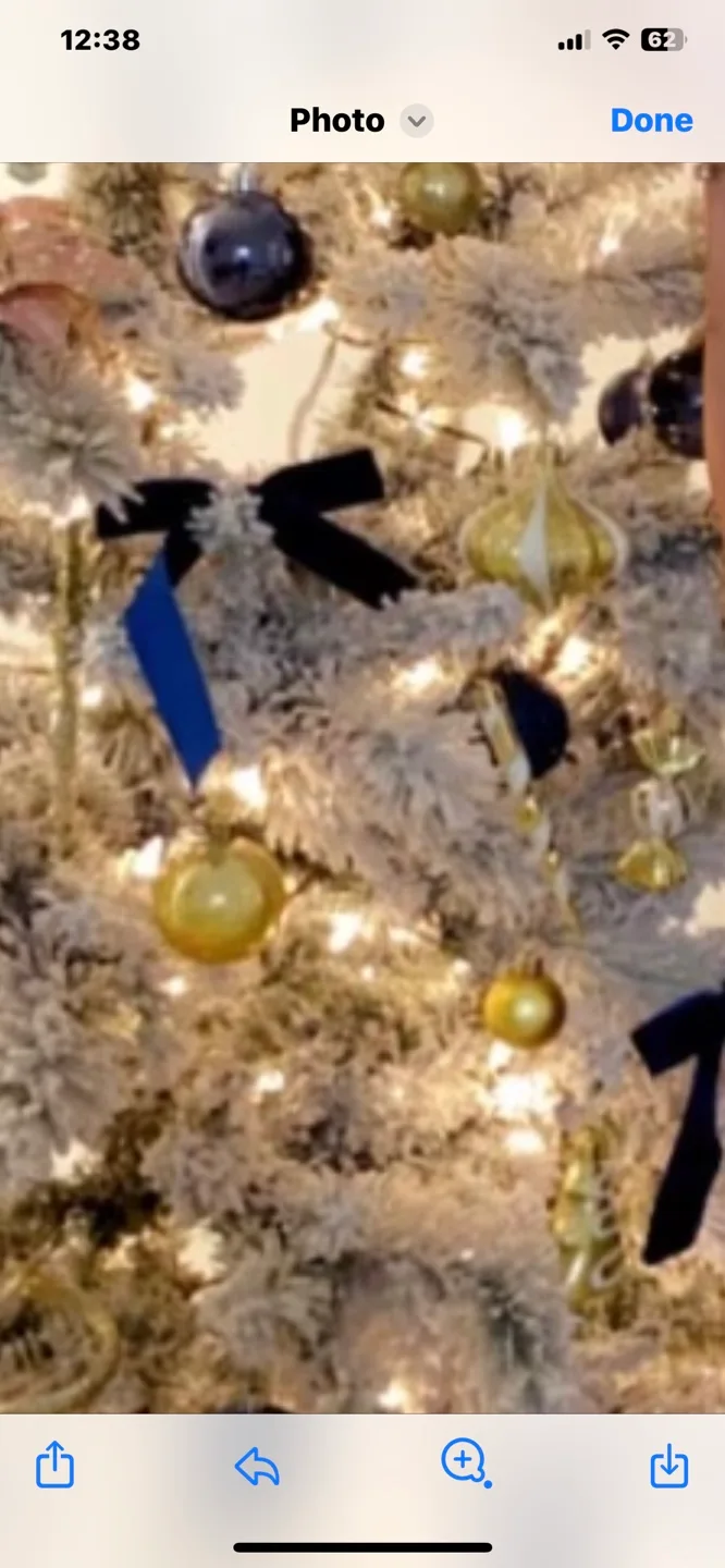 Christmas Tree, Warm White Twinkle led Lights image indicator(2)