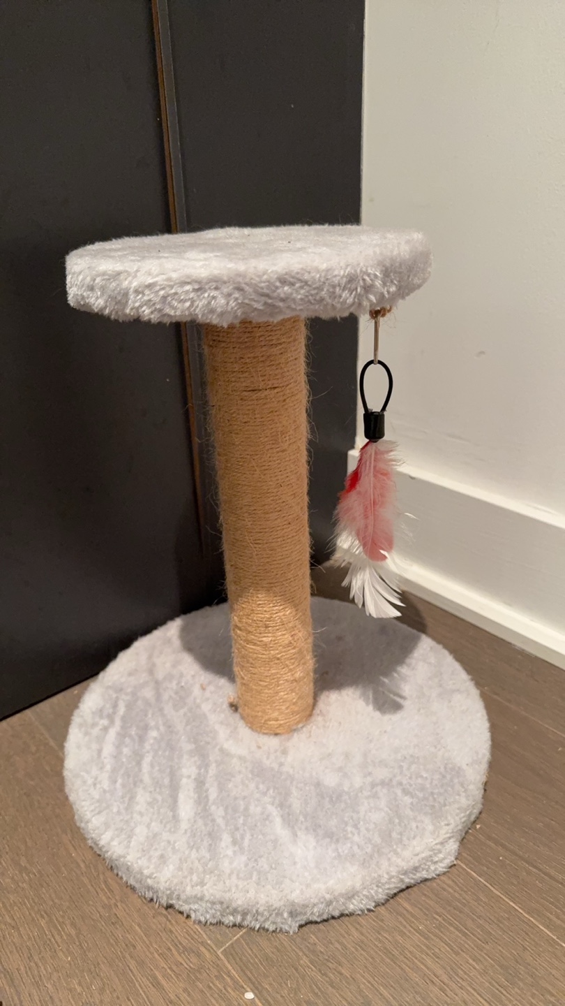 Cat scratching post