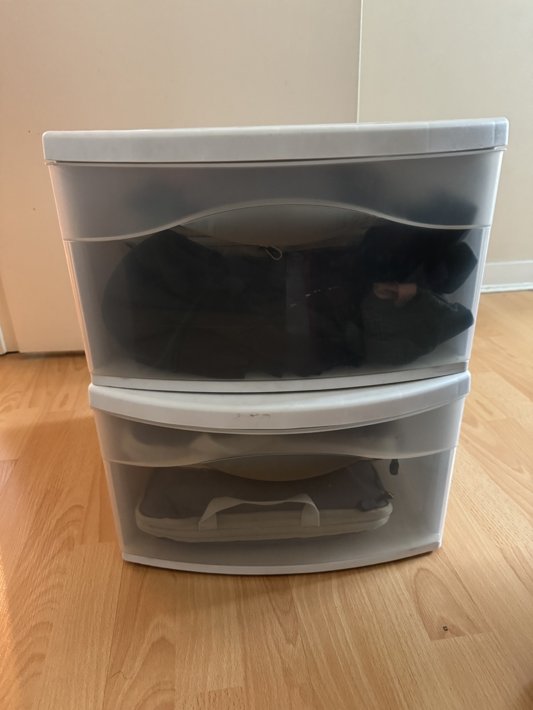 2-Drawer Storage Organizer for $25