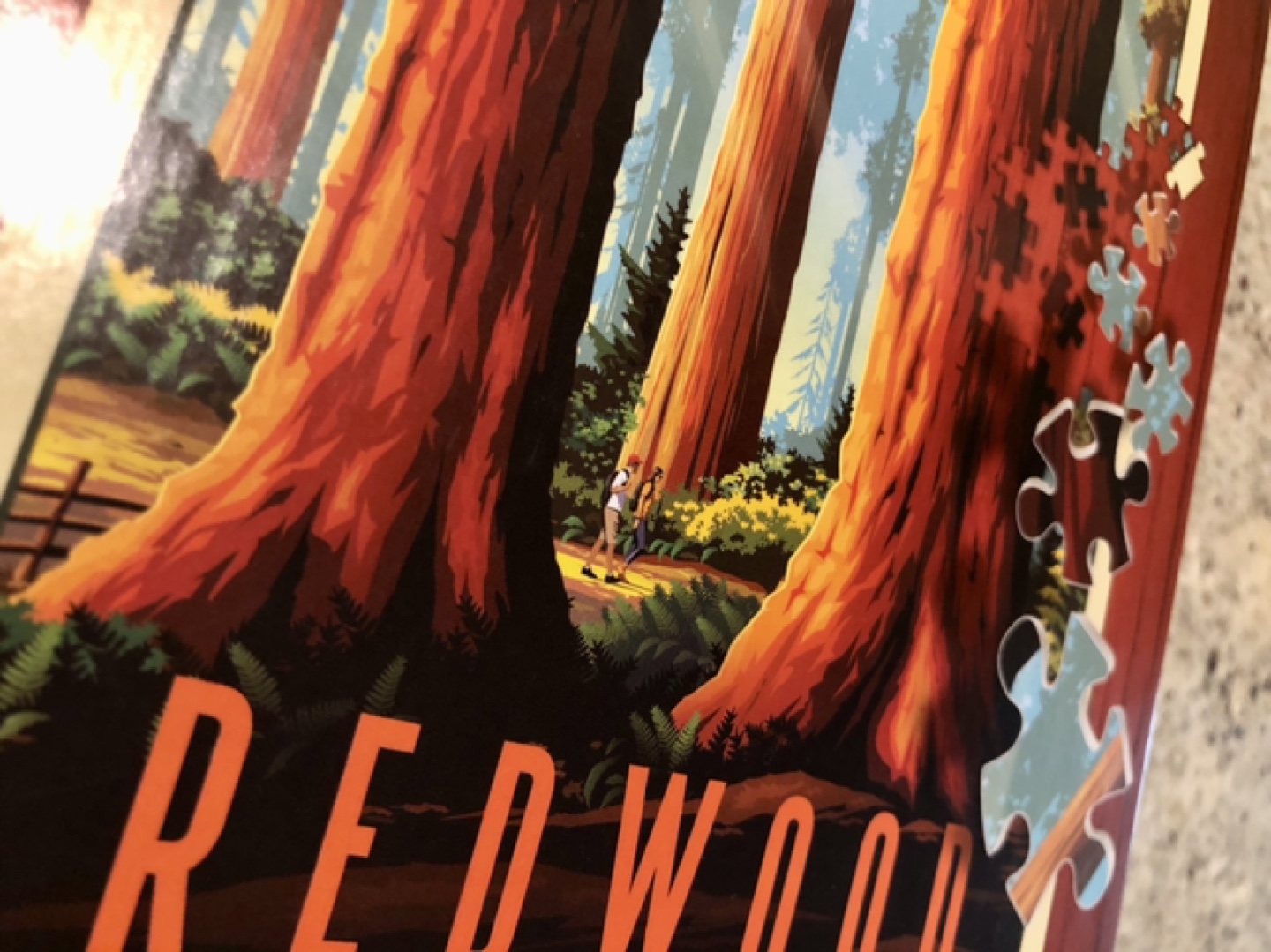 Redwood National & State Parks 1000 Piece Jigsaw Puzzle