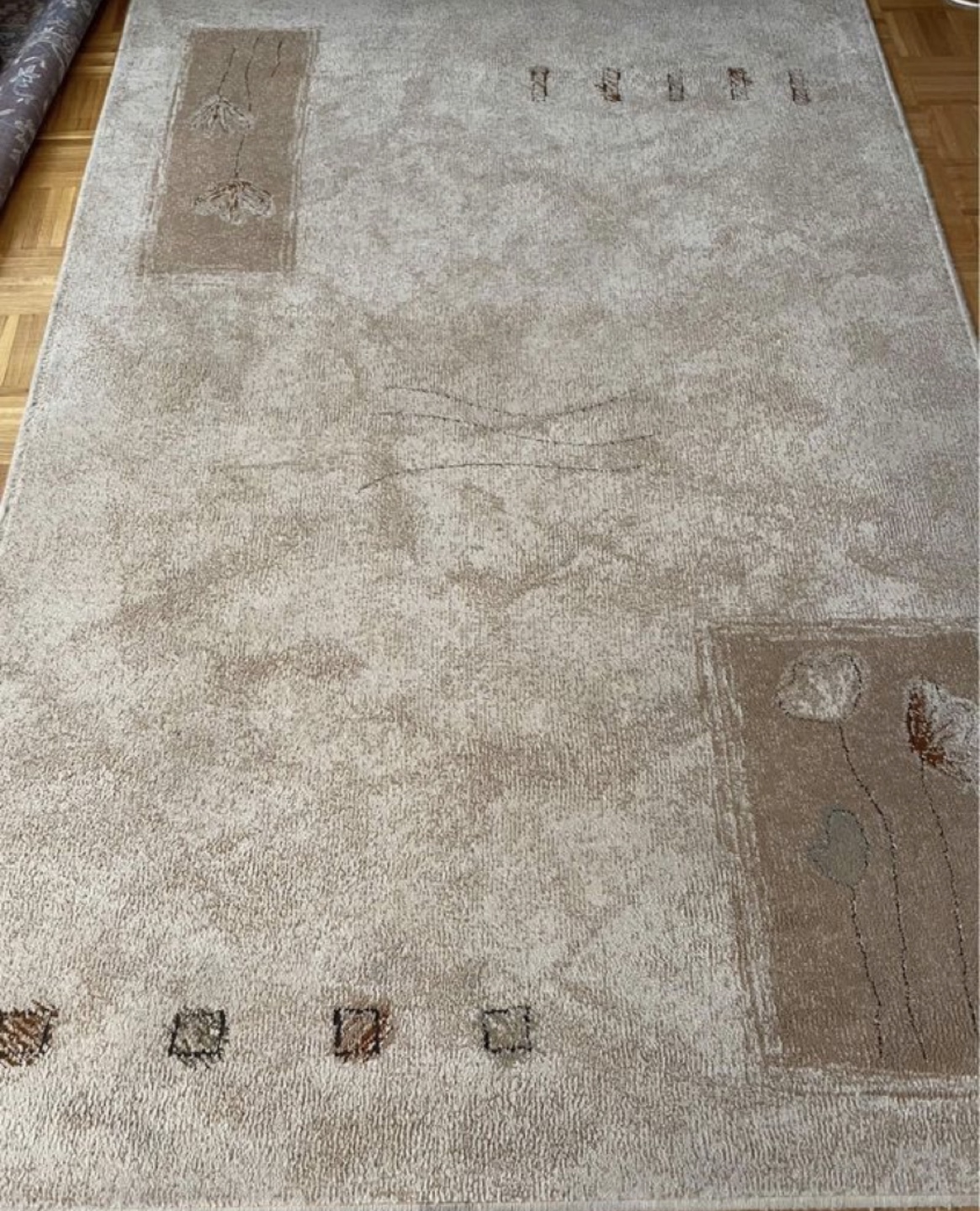Beige Area Rug - photo 2