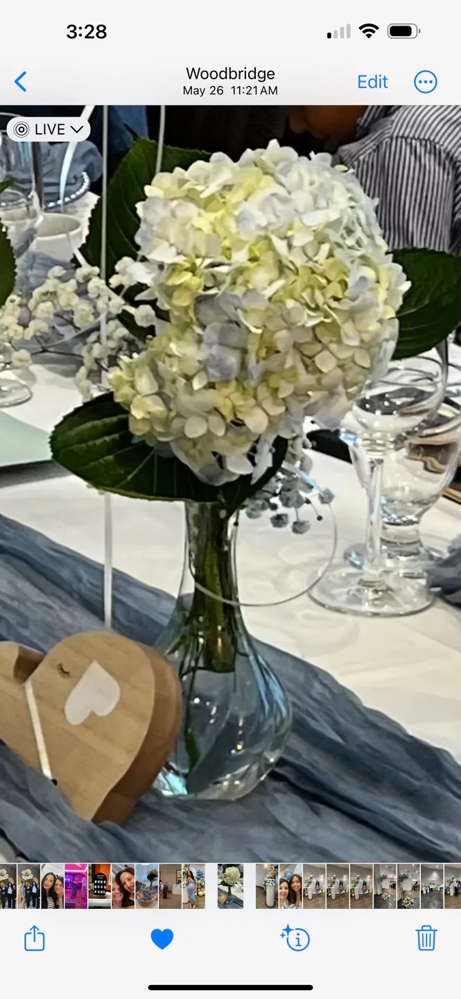 Blue runners image indicator(3)