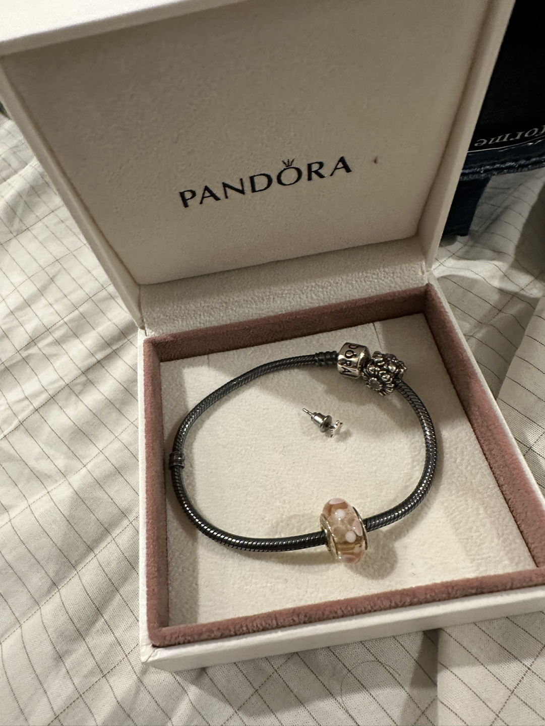 Pandora Bracelet with Charm