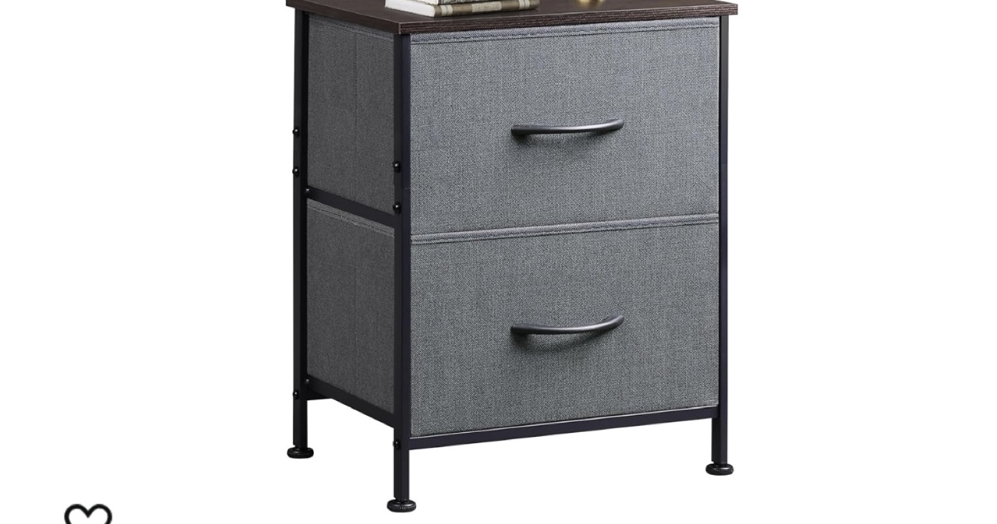 2 Drawer Storage Organizer