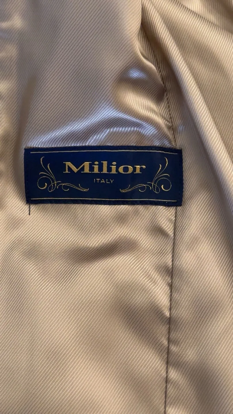 Babaton Atelier Coat (from Aritzia) image indicator(3)