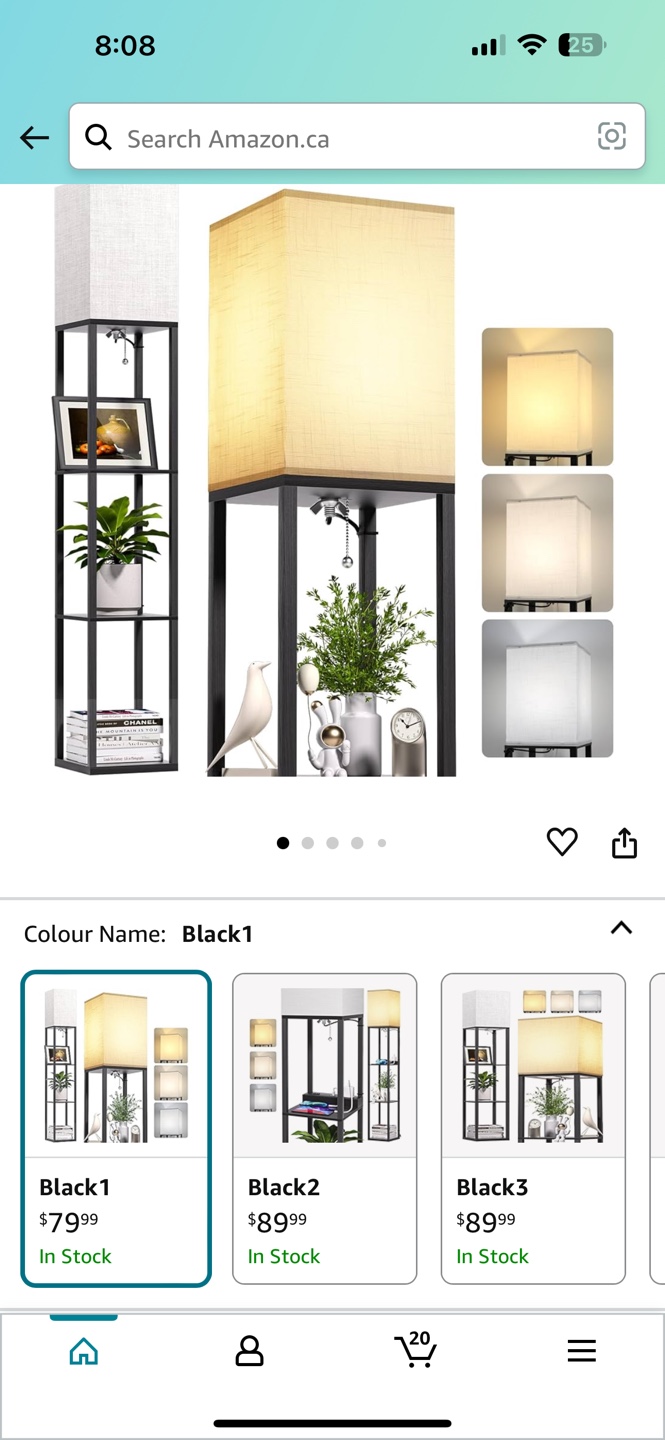 Floor lamp with shelves