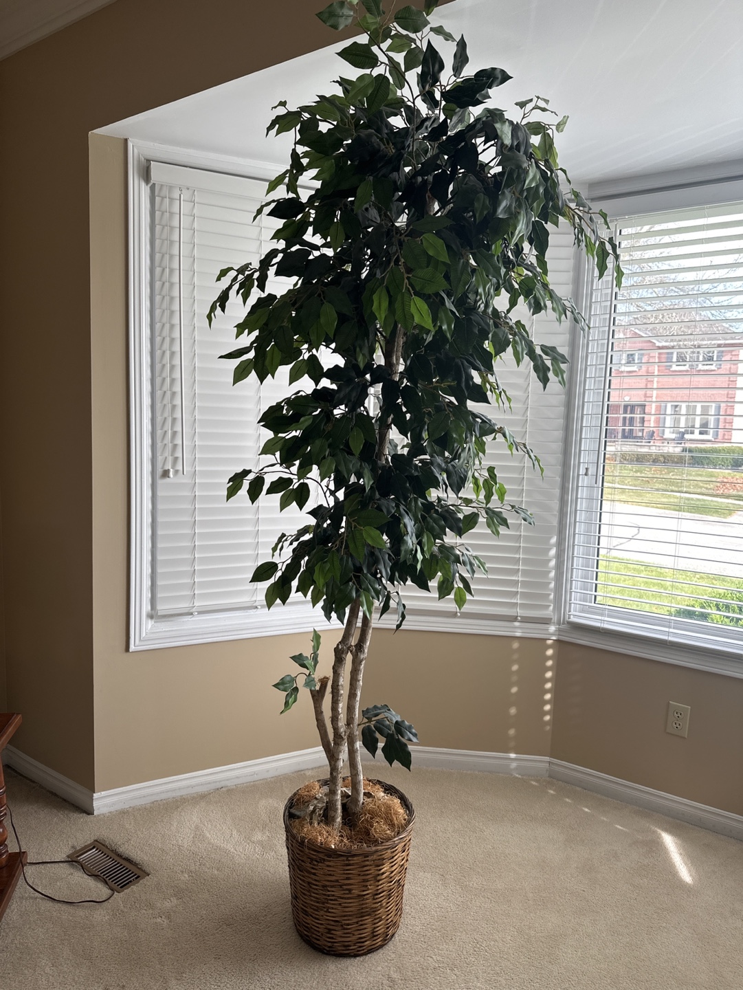 Artificial Ficus Tree