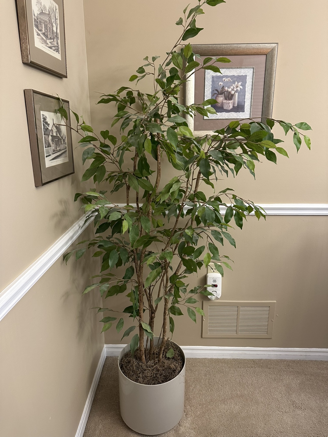 Artificial Ficus Tree