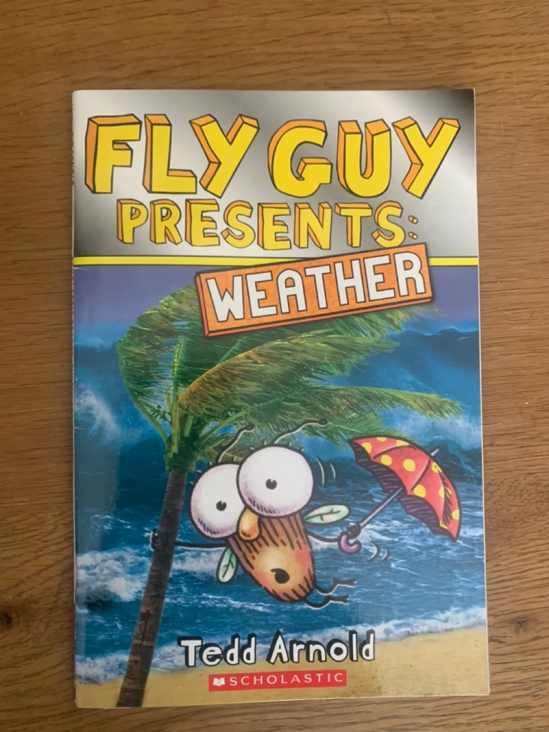 3 brand new Fly Guy books - space, weather, monster trucks image indicator(3)