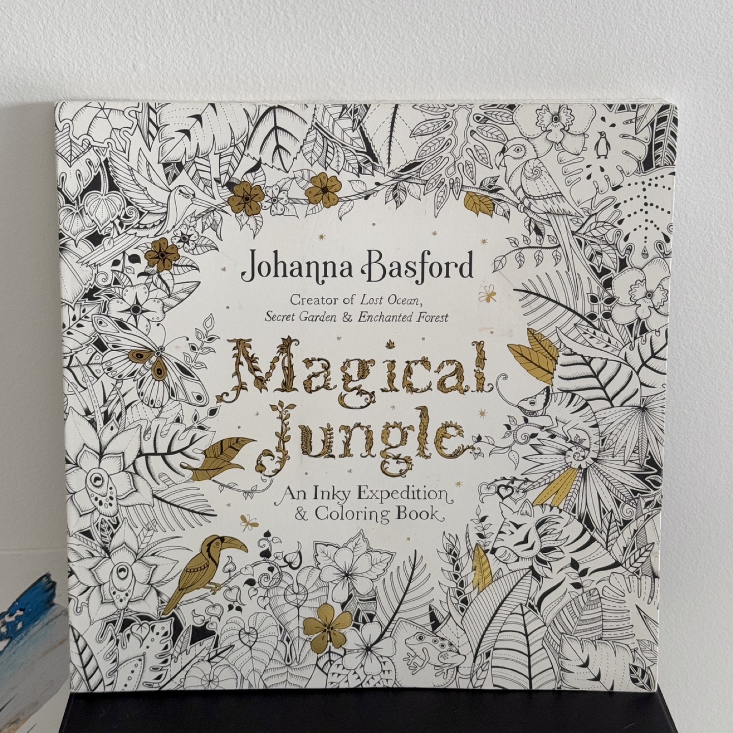 Magical Jungle: An Inky Expedition & Coloring Book