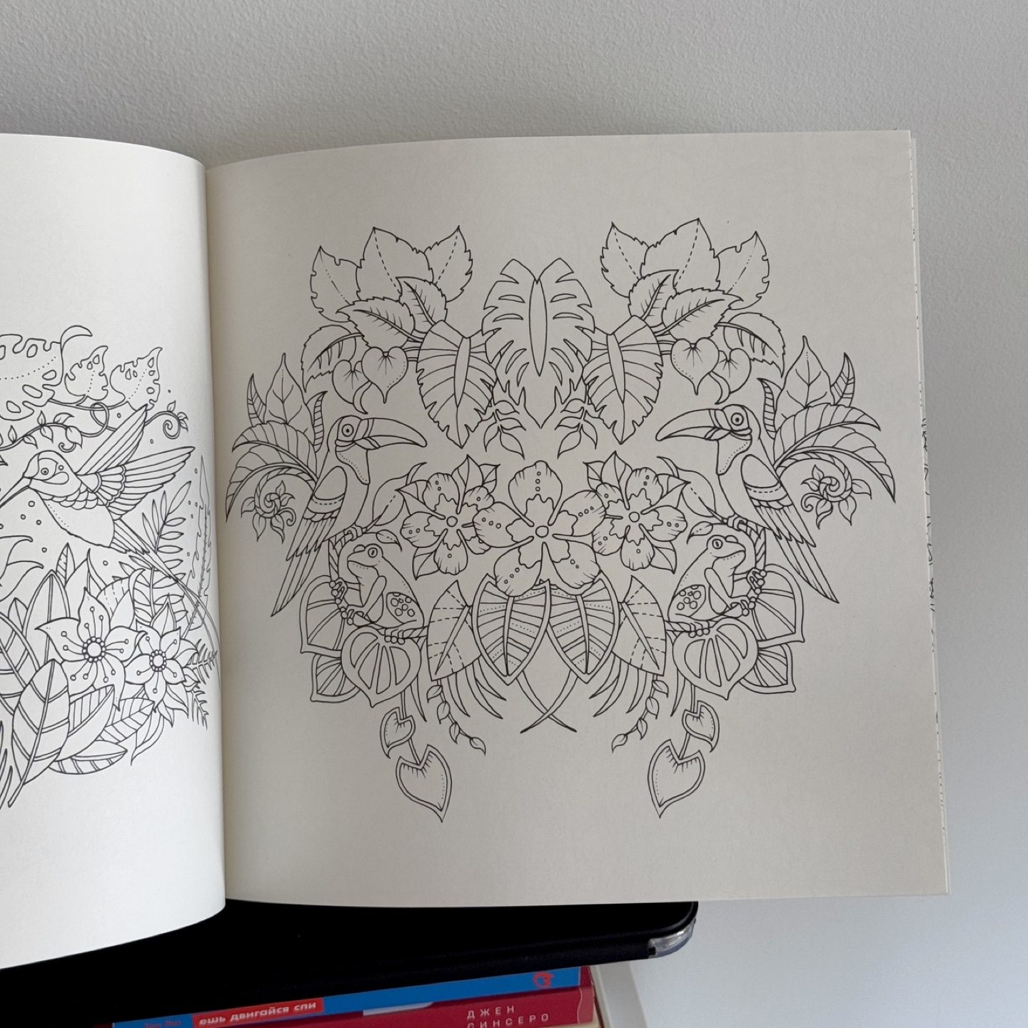 Magical Jungle: An Inky Expedition & Coloring Book - photo 5