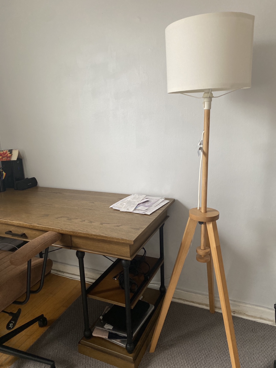 Floor Lamp with Tripod Stand