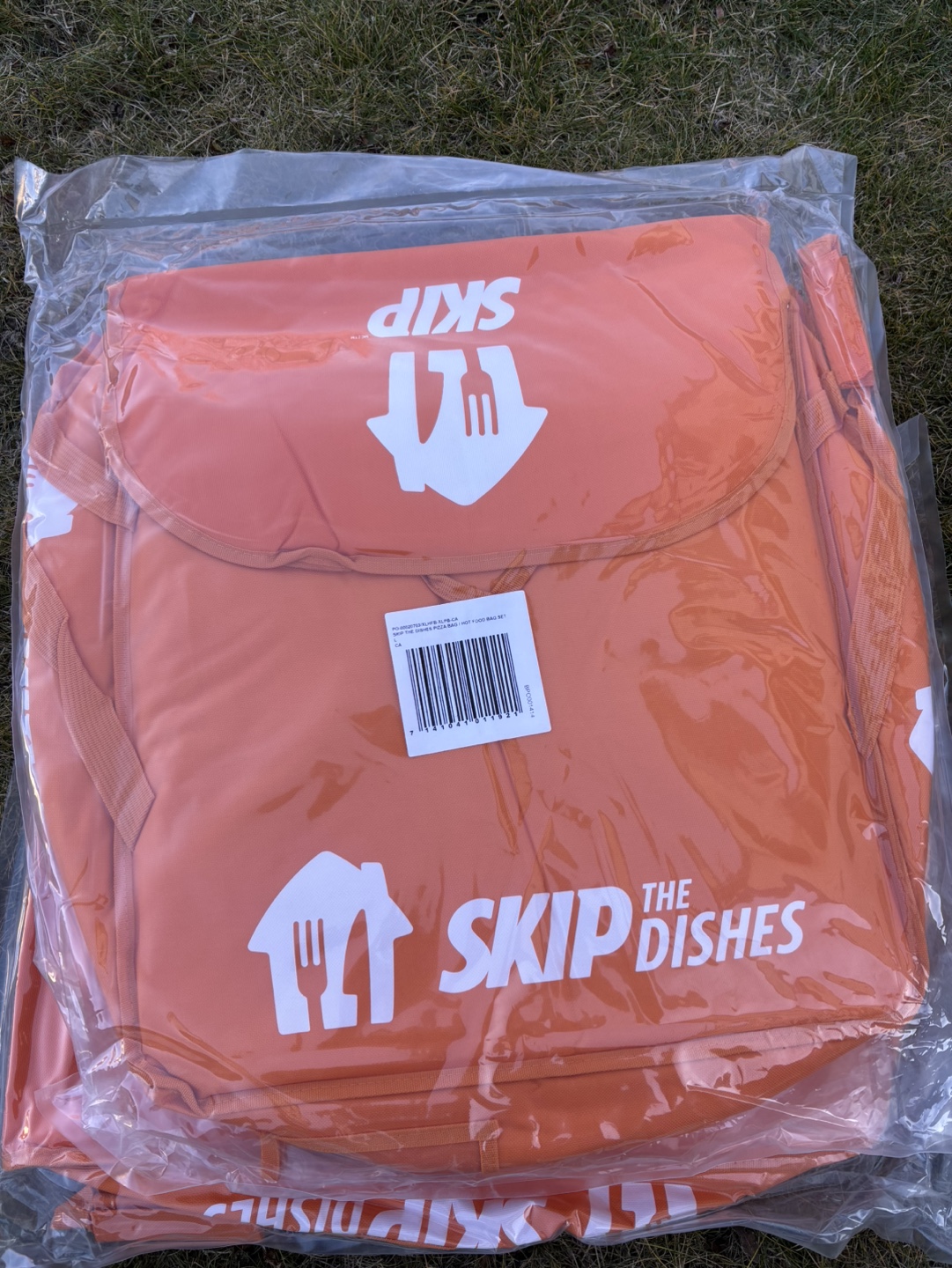 Skip the Dishes Insulated Delivery Bag