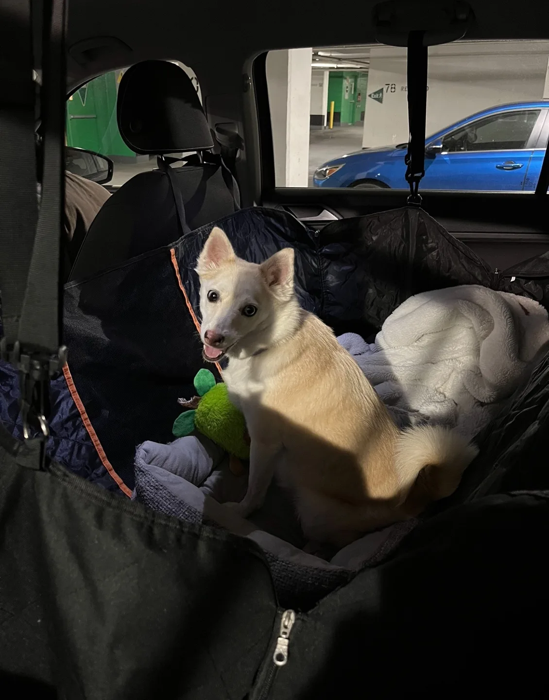 Dog Car Seat Cover - Waterproof Zipper Large Back Dog Hammock image indicator(2)