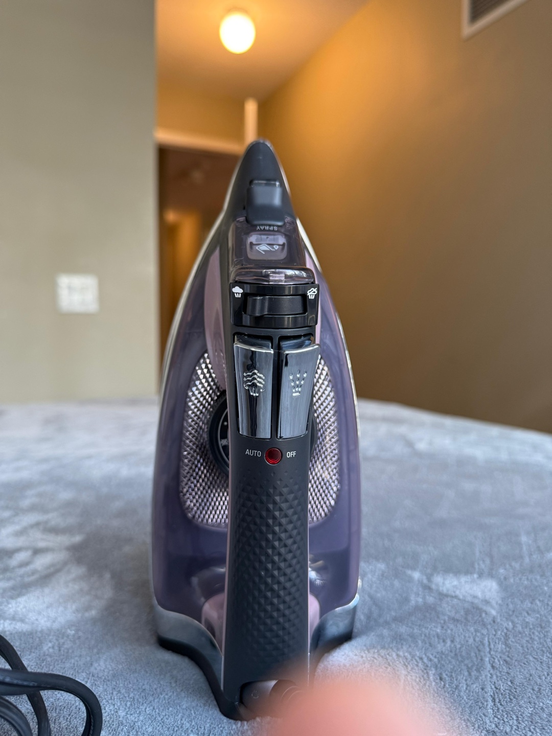 Rowenta Iron