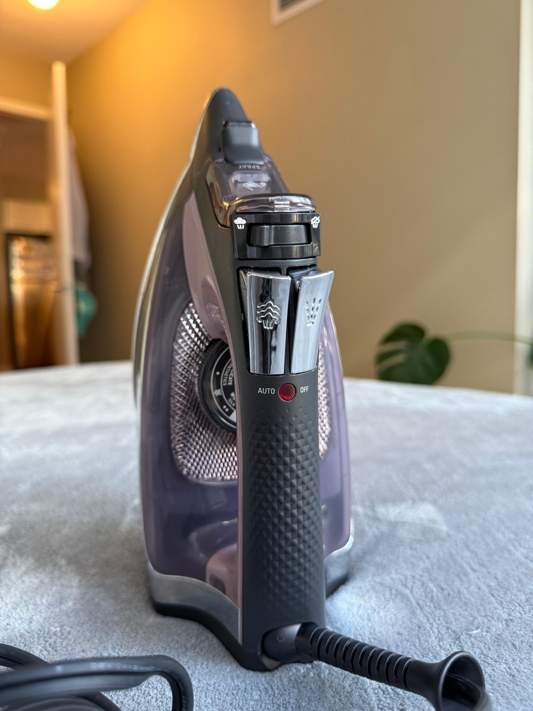 Rowenta Iron - photo 2