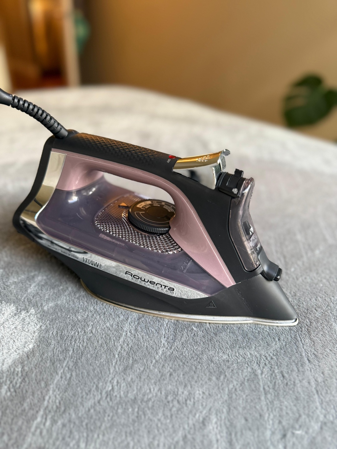 Rowenta Iron - photo 5
