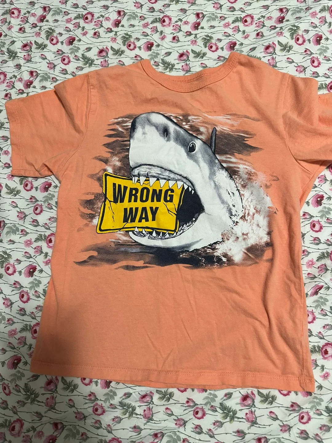 5 Boys T-Shirts Size 5/6 image indicator(4)