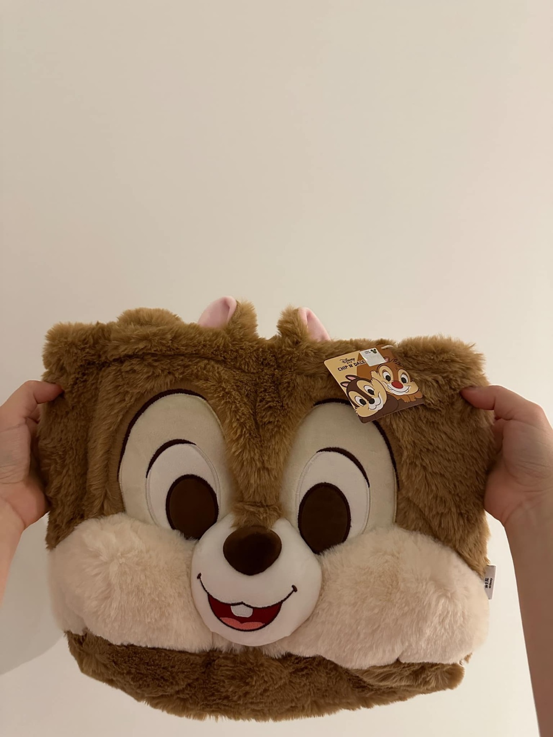 Chip 'n Dale Plush Bag