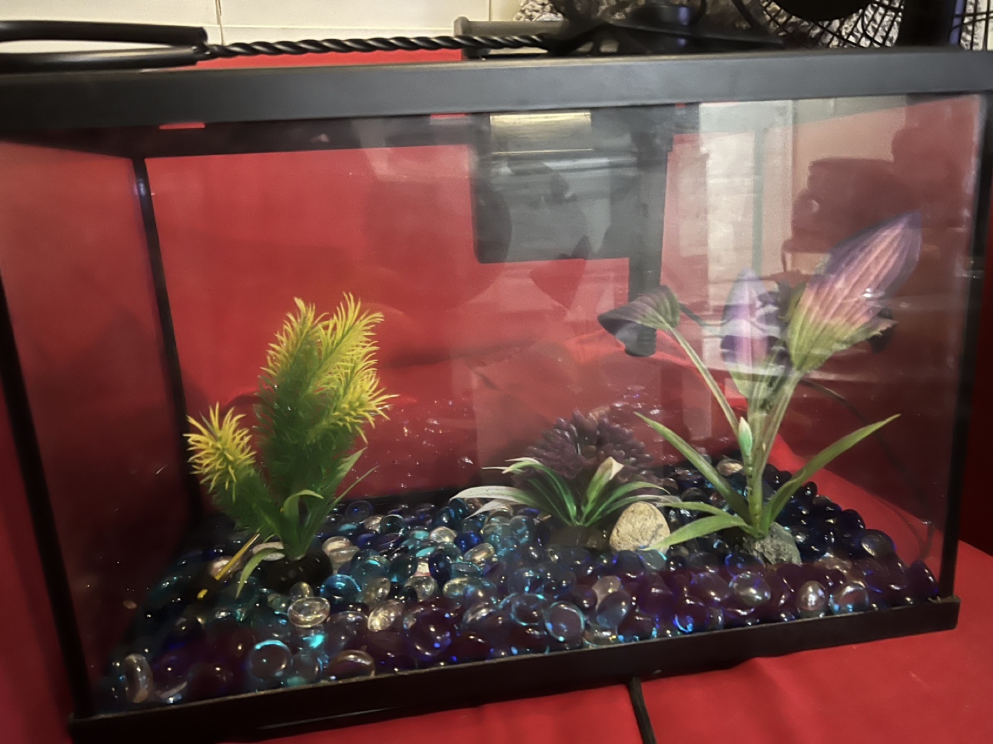 Small Fish Tank with Decorations - photo 2